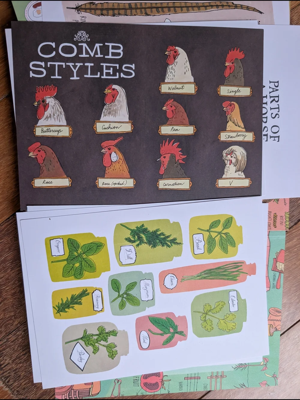 Julia Rothman Nature, Farm & Food Anatomy Boxed Set - Multi 3 Books